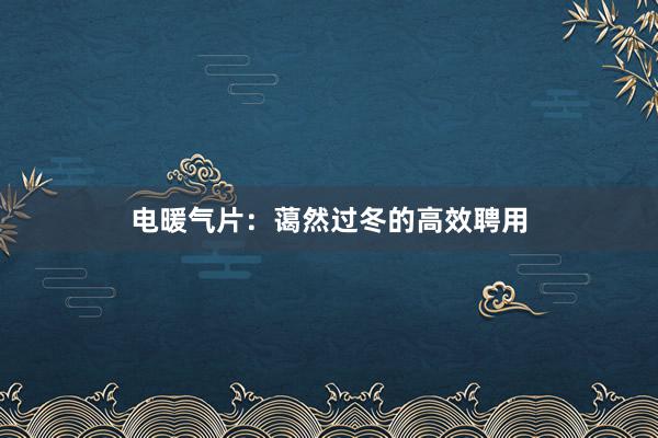 电暖气片：蔼然过冬的高效聘用